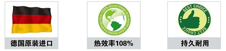 无锡菲斯曼原装进口冷凝壁挂炉WB1C三大特点