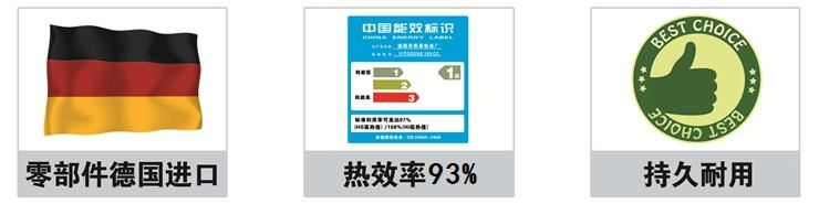 无锡菲斯曼-德国菲斯曼壁挂炉国内组装A1JC三大特点