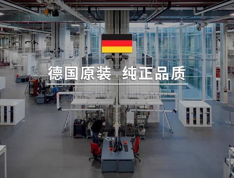 德国原装 纯正品质 德国菲斯曼锅炉