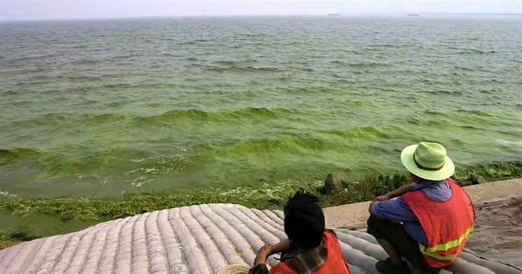 太湖蓝藻、苯污染等导致城市用水紧张 水处理